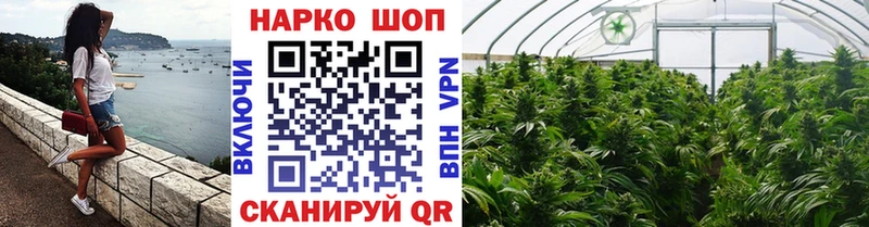 Как найти наркотики Истра АМФЕТАМИН  blacksprut маркетплейс  Гашиш  Cocaine  Alpha PVP  Галлюциногенные грибы 