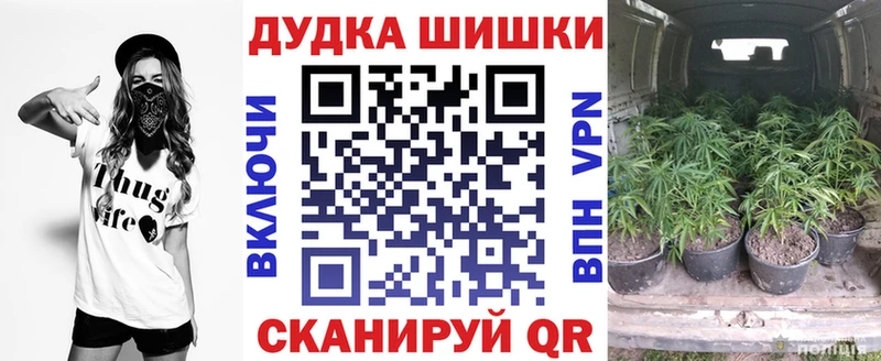 как найти   mega ссылка  Бошки Шишки Ganja  Истра 